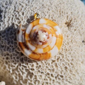 Pendentif "Conus Blanc/Orangé "