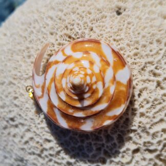Pendentif "Conus Orangé "