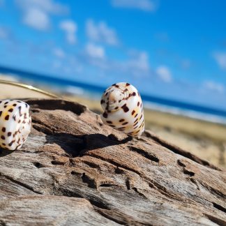 Jonc en acier inoxydable avec coquillages Conus