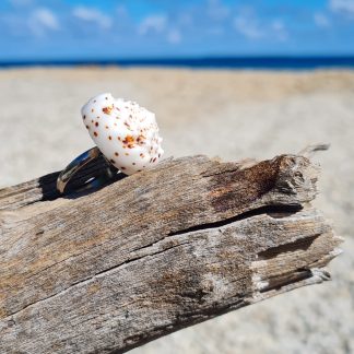 Bague coquillage cône blanche tachetée