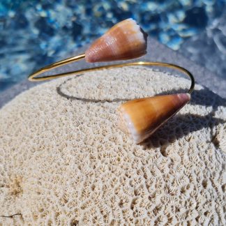 Jonc en acier inoxydable avec coquillages Conus marron clair
