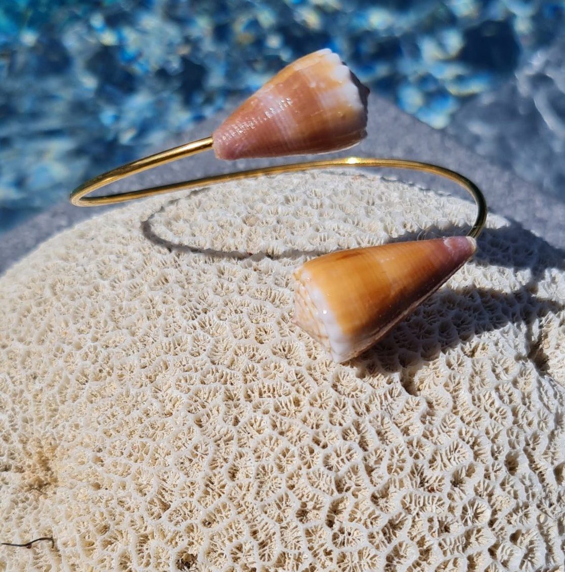 Jonc en acier inoxydable avec coquillages Conus marron clair