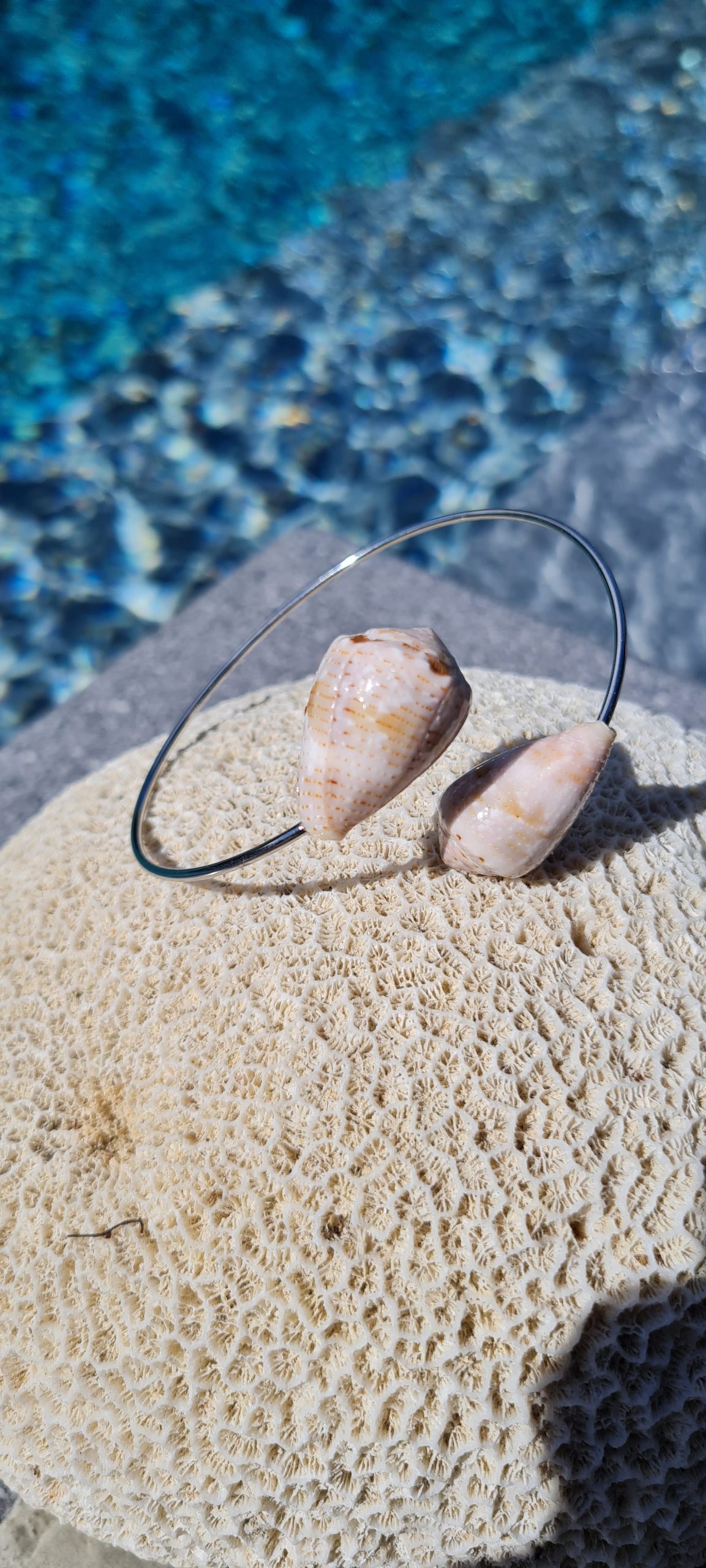 Jonc en acier inoxydable avec coquillages Conus clairs