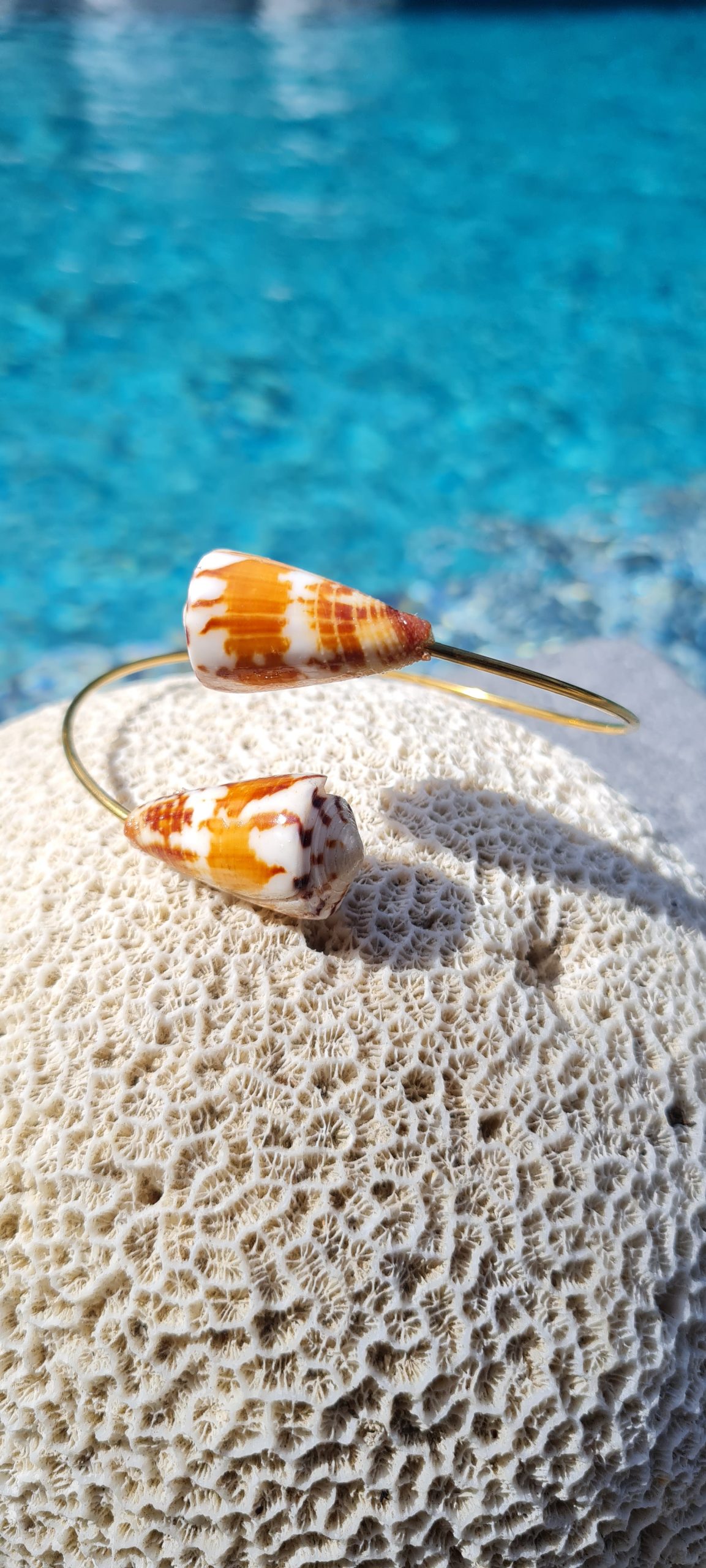 Jonc en acier inoxydable avec coquillages Conus orangés