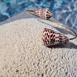 Jonc en acier inoxydable avec coquillages Conus bruns