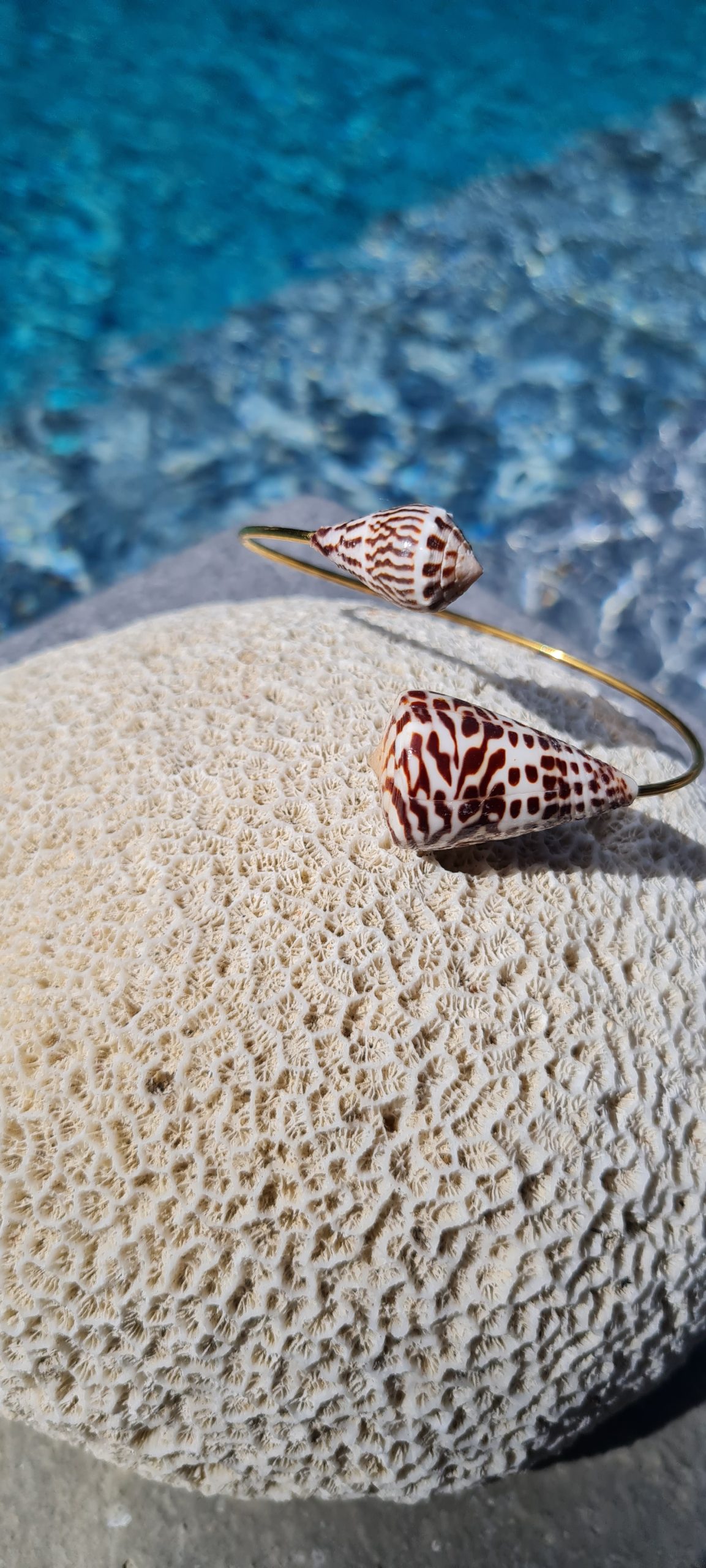 Jonc en acier inoxydable avec coquillages Conus bruns