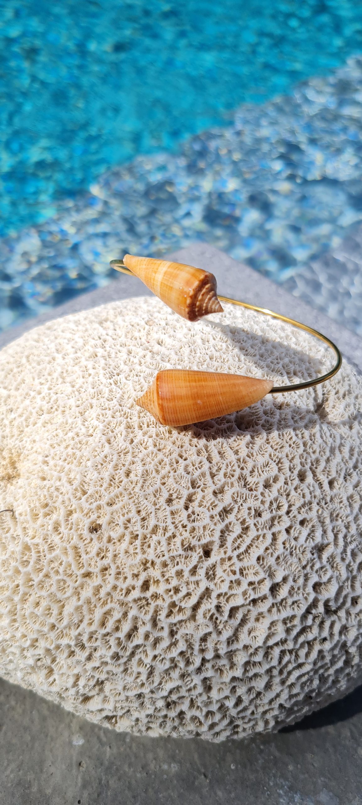 Jonc en acier inoxydable avec coquillages Conus orangés