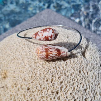 Jonc en acier inoxydable avec coquillages Conus blancs et marron