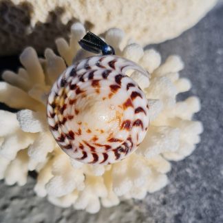 Pendentif artisanal en coquillage naturel brun et blanc