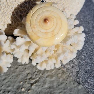 Pendentif « Spirale Miel » – coquillage naturel & bélière argentée