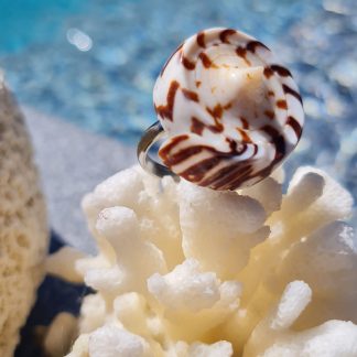 Bague « Nautilus » – coquillage spiralé brun/ivoire