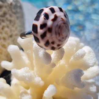 Bague « Tigrée » – coquillage tacheté blanc/noir