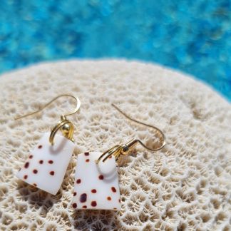 Boucles d’oreilles en coquillage Conus blanc tacheté