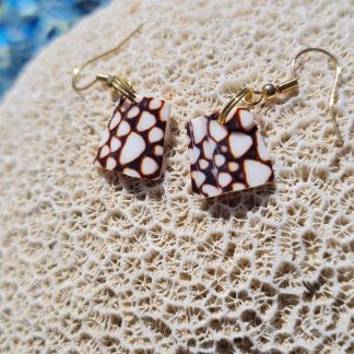 Boucles d’oreilles en coquillage Conus