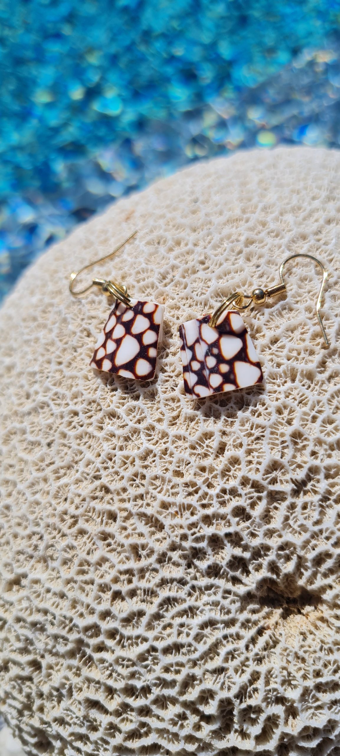 Boucles d’oreilles en coquillage Conus