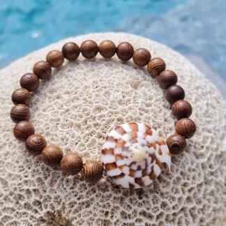 Bracelet bois & coquillage spiralé – “Lagune”