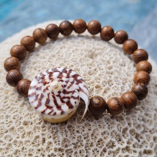 Bracelet bois & coquillage spiralé – “Récif”