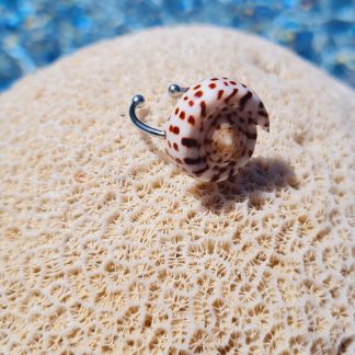 Bague « Spirale Tachetée » – coquillage brun/ivoire, anneau ouvert
