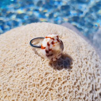 Bague « Nautilus Ambre » – coquillage spiralé orange/ivoire (anneau réglable)