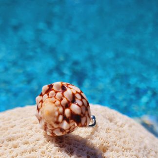 Bague « Mosaïque du Lagon » – coquillage brun/ivoire (anneau réglable)