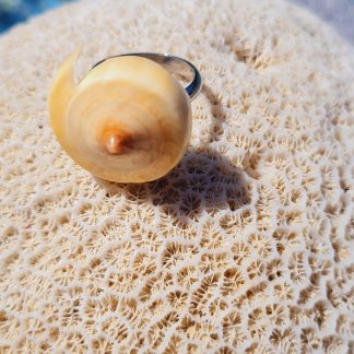 Bague « Nautilus Corail » – coquillage spiralé jaune/ivoire (anneau réglable)