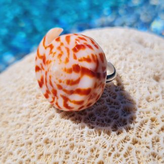 Bague « Nautilus Flamme » – coquillage spiralé orange/ivoire (anneau réglable)