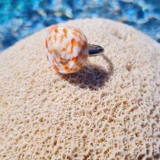 Bague « Nautilus Corail » – coquillage spiralé orange/ivoire (anneau réglable)