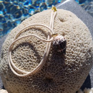 Collier Coquillage Marron Foncé & Blanc