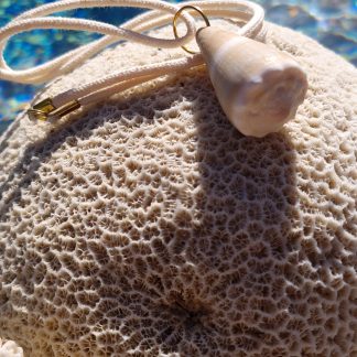 Collier Conus Beige Naturel