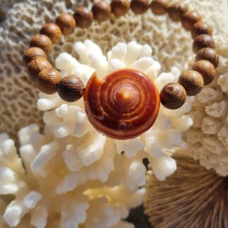 Bracelet "conus cuivré"